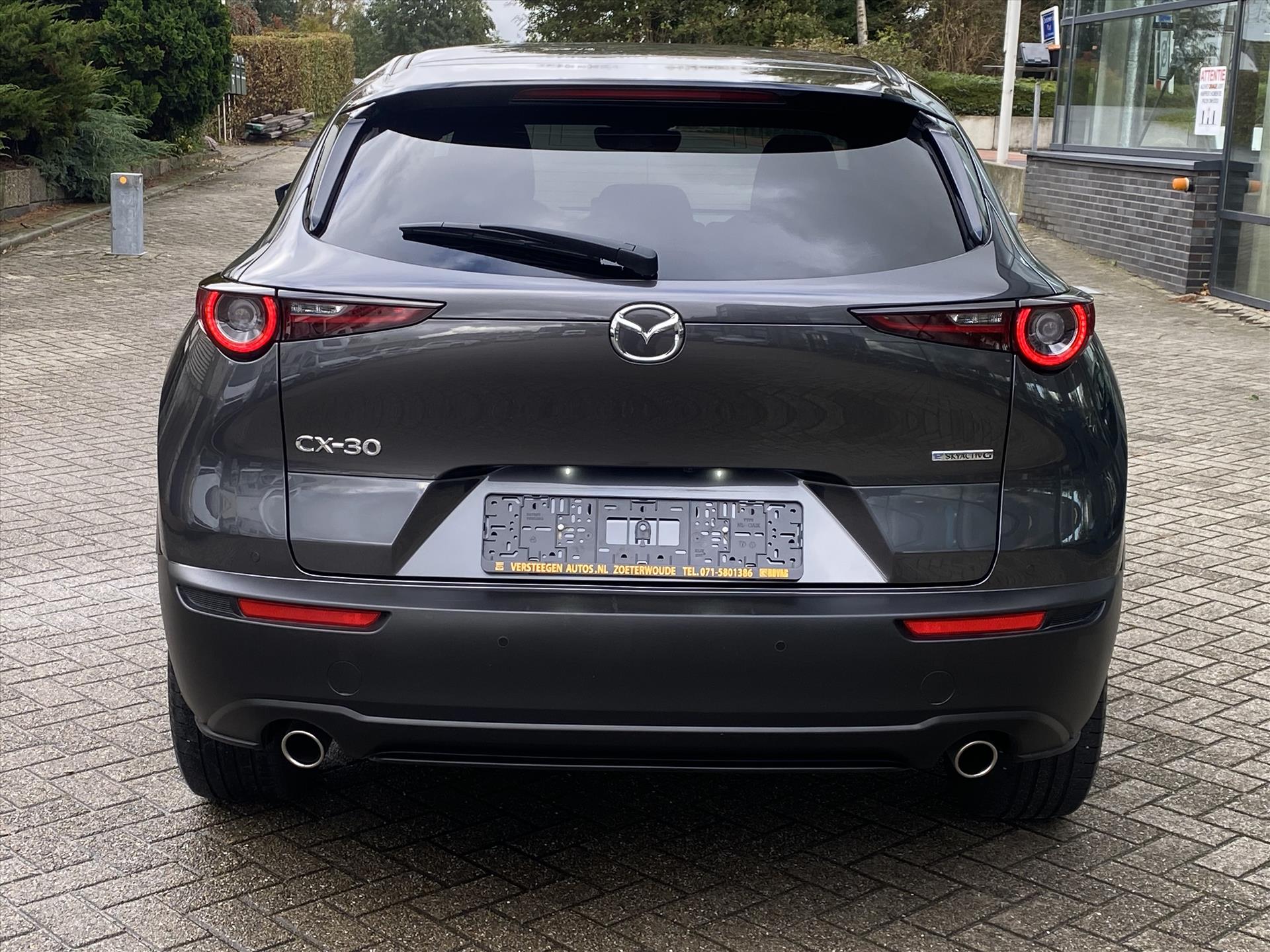 48607237-8.jpg